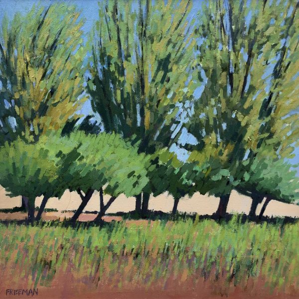 Trees at Nimes by Barry Freeman