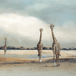 Lake Bed Giraffes