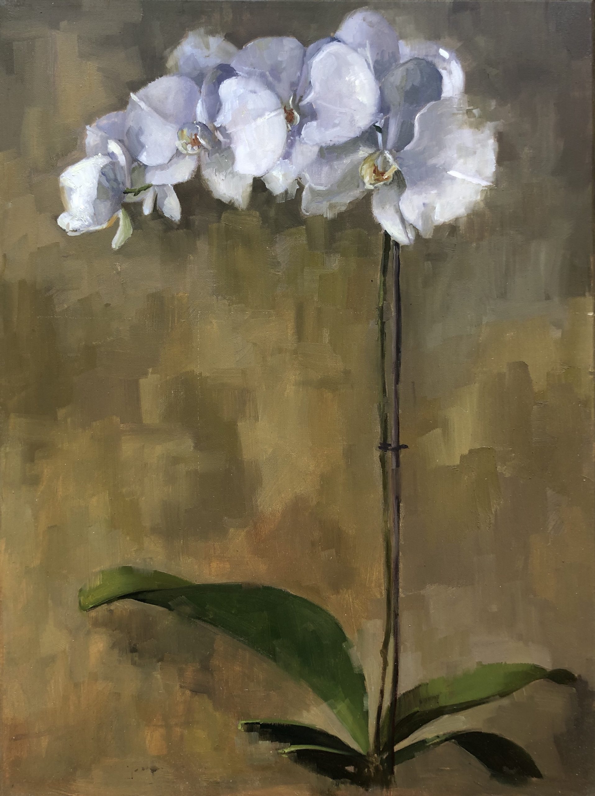 Orchid Study by Penny German